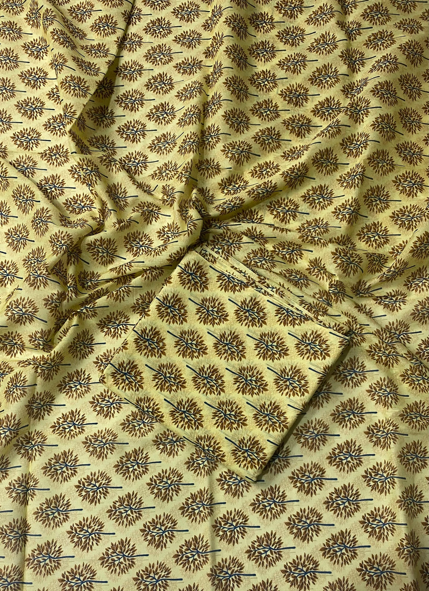 Printed Lawn 2PC D-1